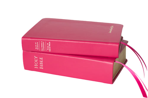 Basic: Holy Bible & Triple Combination (2 book set) - Regular - Colored Scriptures by Custom LDS Scriptures