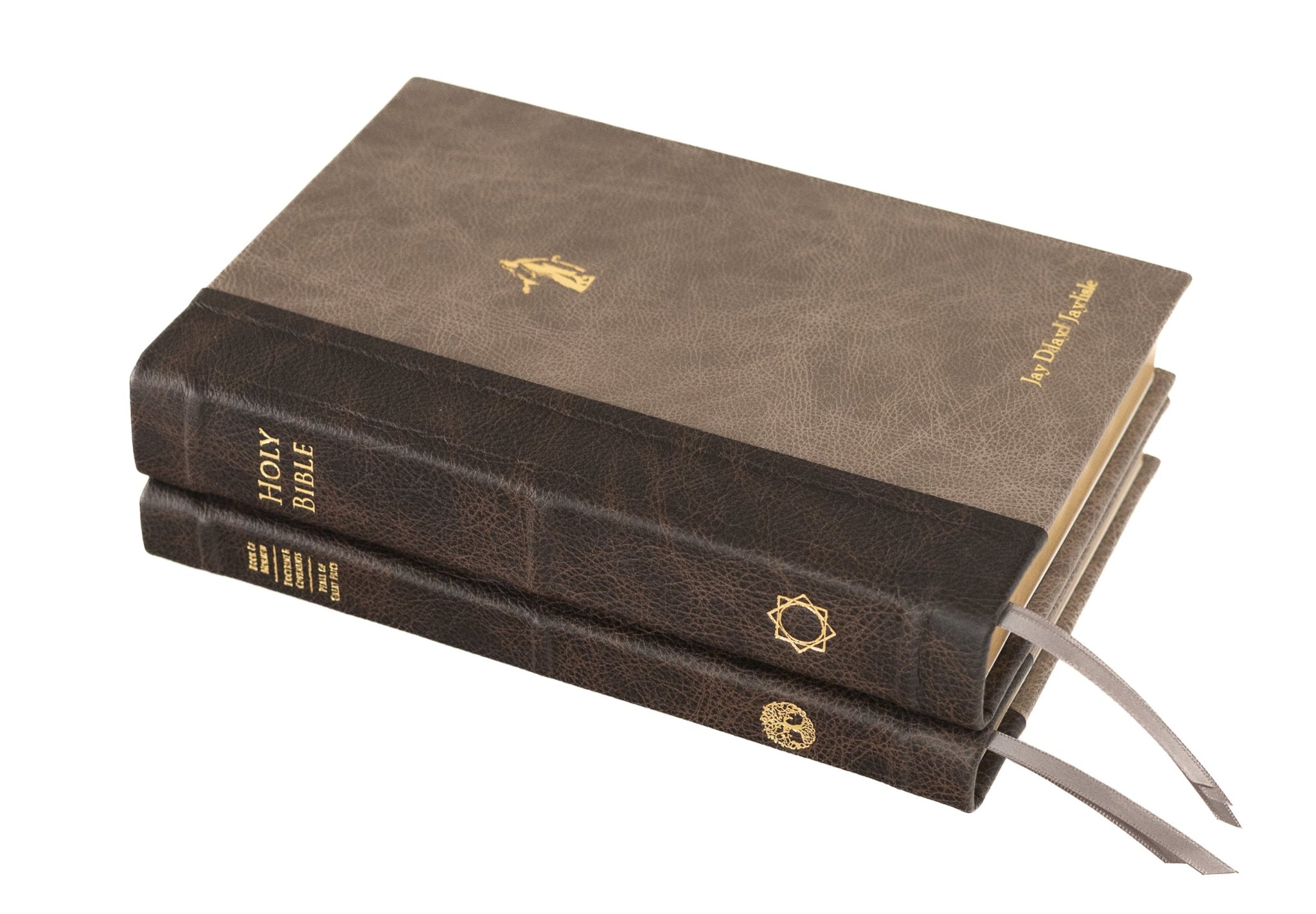 Deluxe: Holy Bible and Triple Combination (2 books)-No References