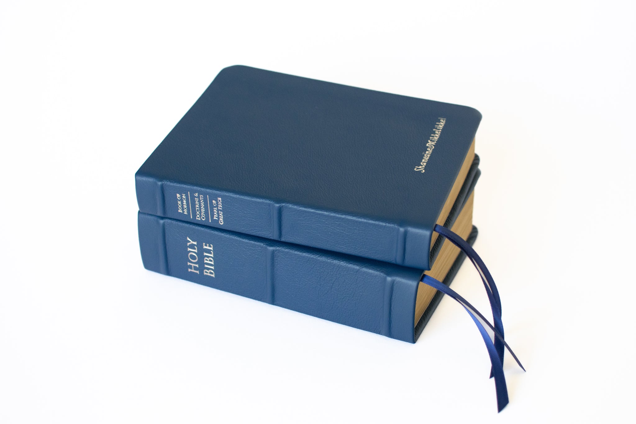 Premium: Holy Bible & Triple Combination Set - Regular