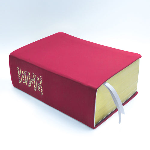 Basic: Quad - Hot Pink Colored Scriptures - Colored Scriptures by Custom LDS Scriptures