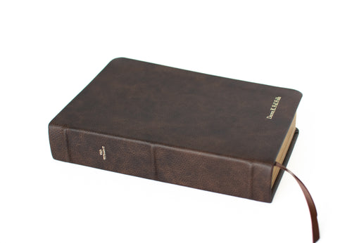 Lds Scripture Gold Deluxe: Colored Scriptures Line | Custom LDS Scriptures